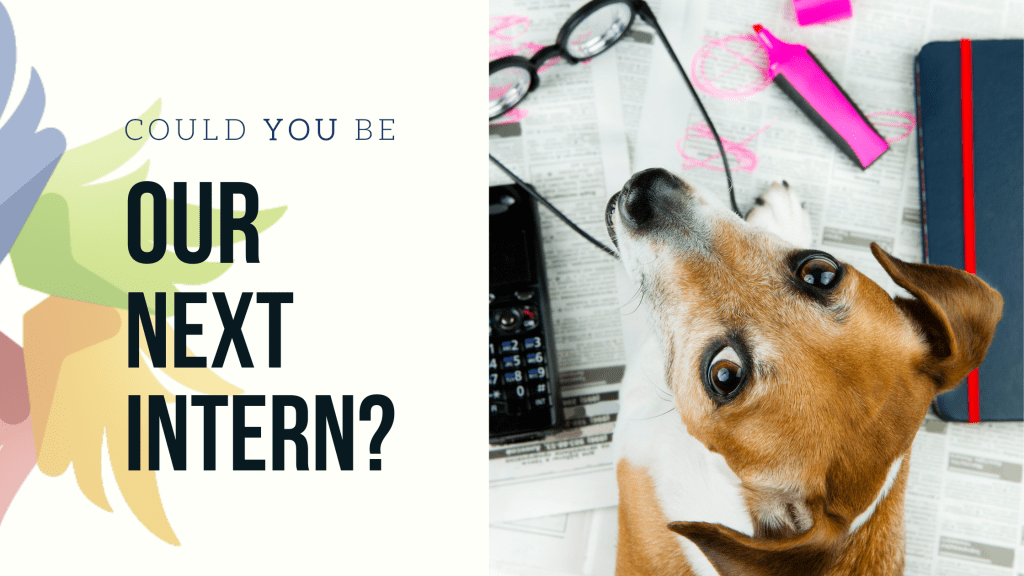 MassFamilies internship opportunity